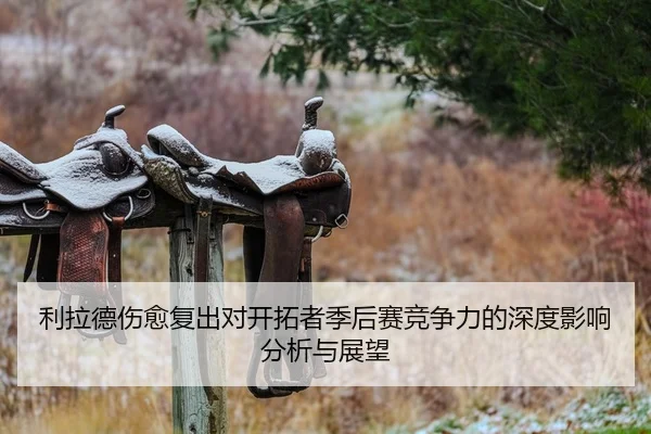 利拉德伤愈复出对开拓者季后赛竞争力的深度影响分析与展望